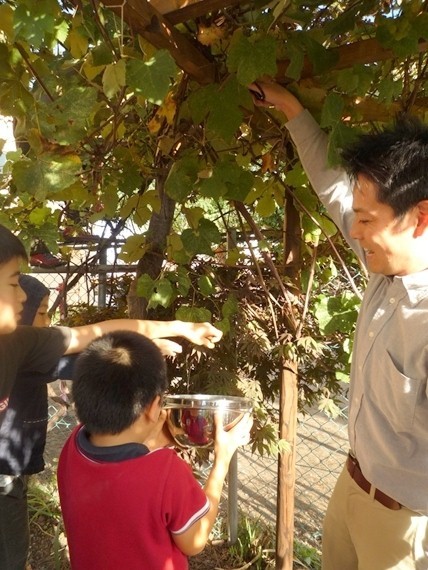 新琴似森山家“公園が庭の家”翻新丨株式会社スロウル-19