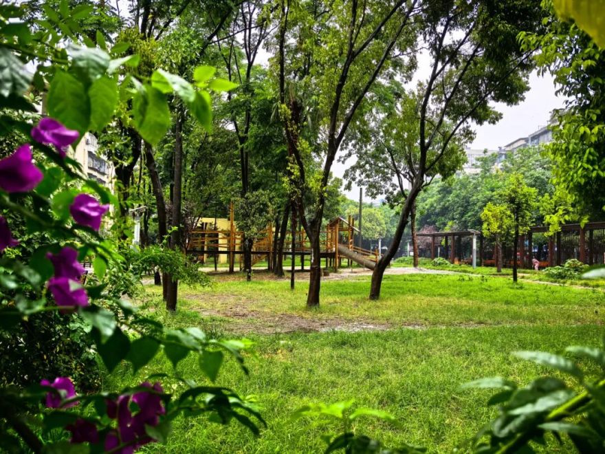 打卡城市“金角银边”丨城市绿地变社区康养公园,“藏”在红牌楼北街的“自然森林花园”-13