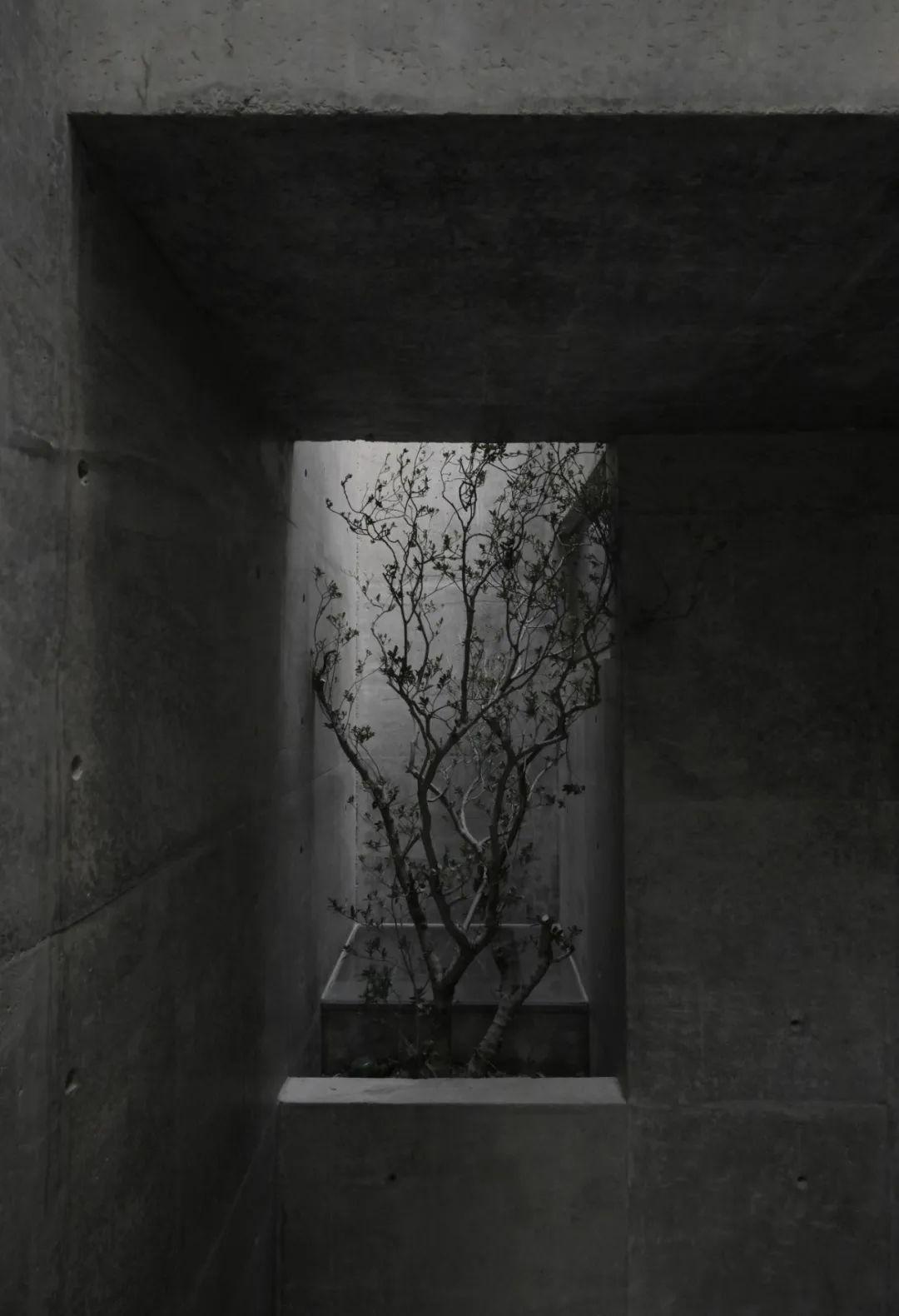 观念的到场上下杭住宅丨中国福建丨東形西見-25