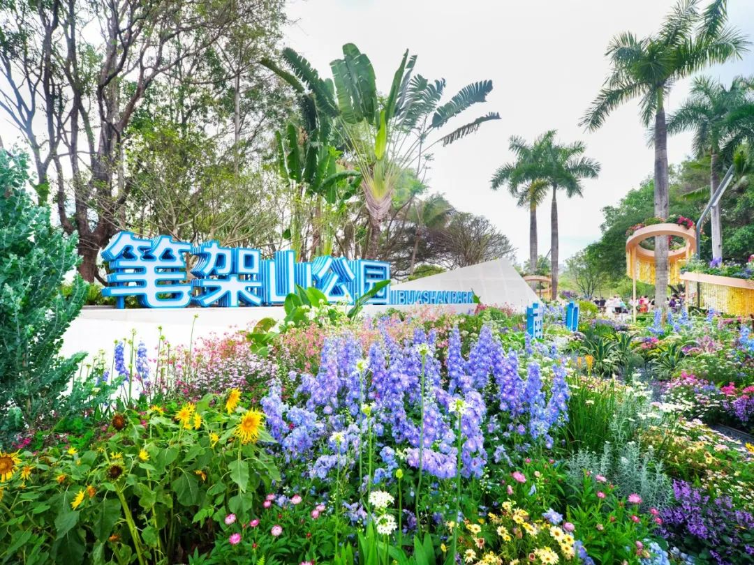 2024粤港澳大湾区花展主会场 | 深圳笔架山体育公园-6