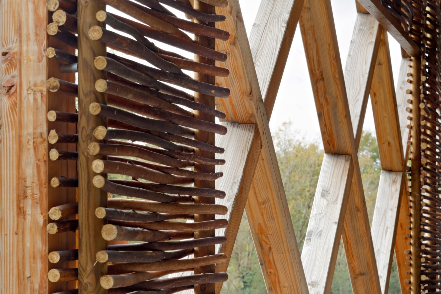 校园绿意 · 蔬菜加工车间与教学结合的设计-69