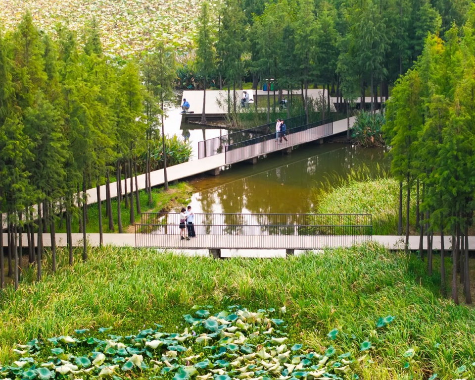 漂浮的森林:南昌市鱼尾洲公园丨中国南昌丨土人设计-41