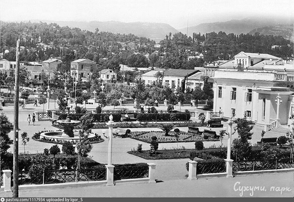 公园内家庭餐厅设计丨KASARCHITECTS-9