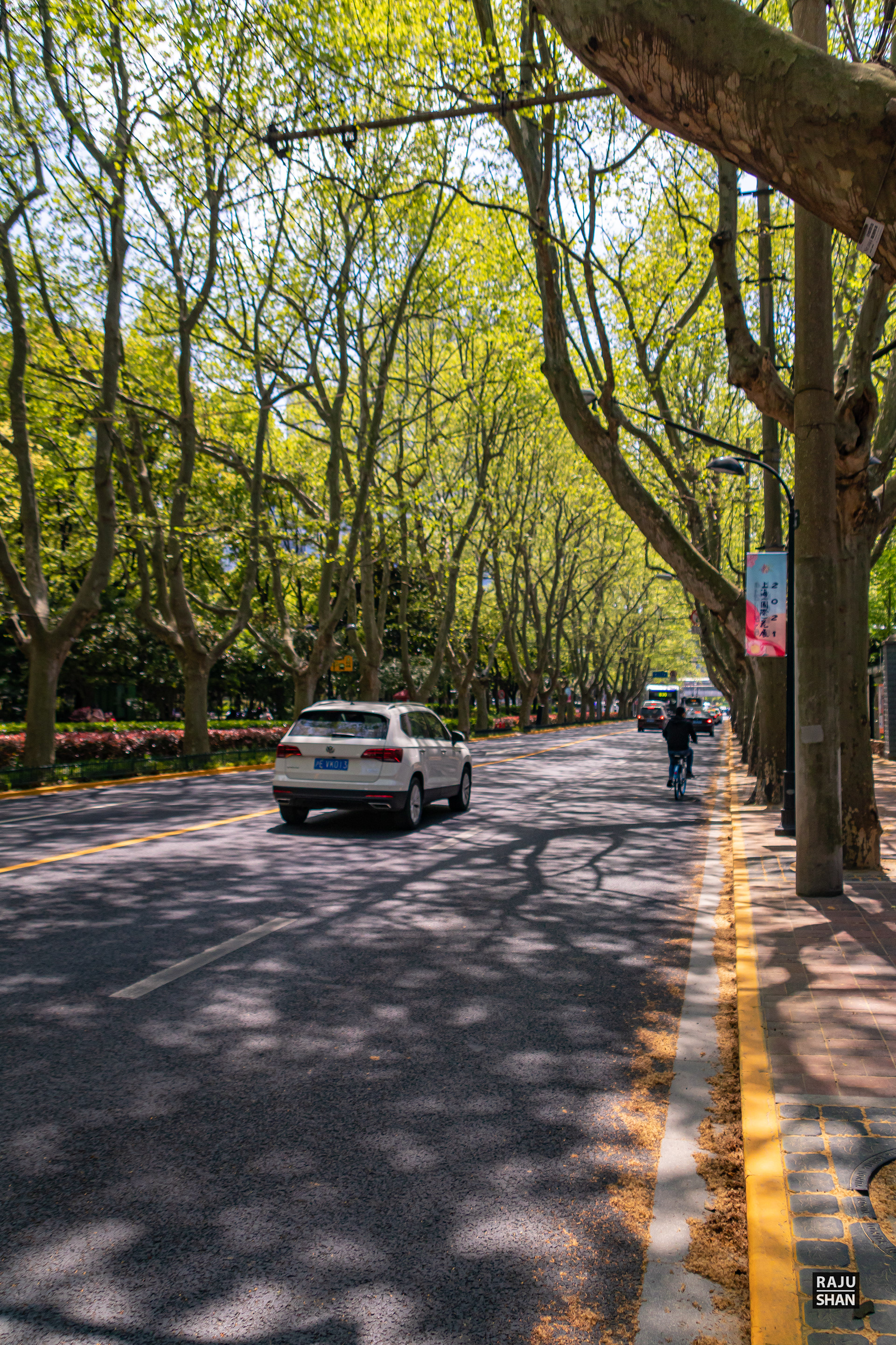上海武康大厦丨中国上海丨László Hudec-42