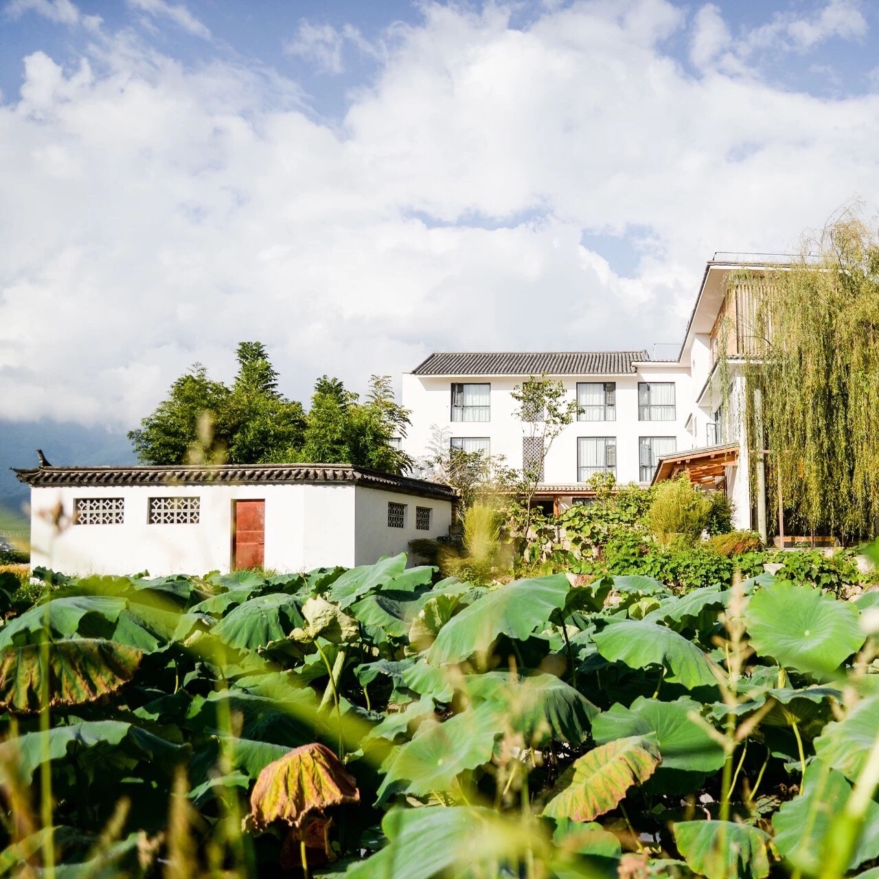 大理共享天伦之乐的 700 平米大宅-17