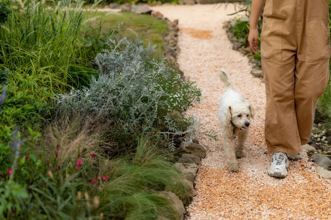 有MORE有YOUNG·新青年2021奥雅乡建营项目丨未明确提及具体设计团队-20