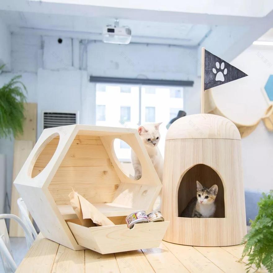 新年准备入驻新主子了?给你复制一份贴心方法-14