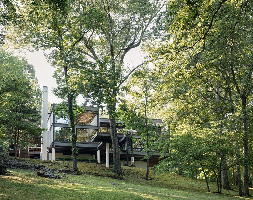 奇特的森林玻璃屋-2