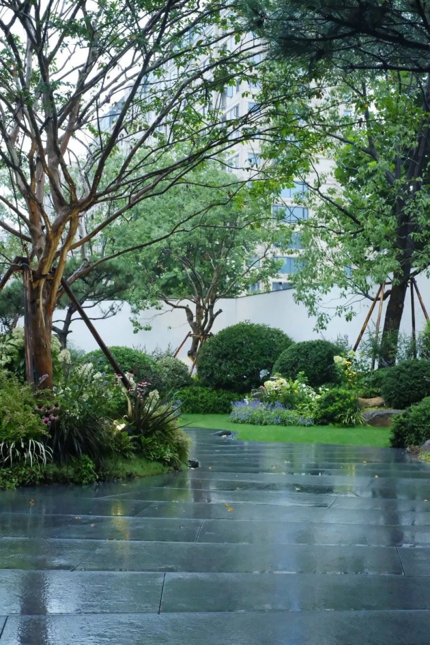 石头记:落雨声皆看化 | 龙湖葛洲坝 · 景粼天著-70