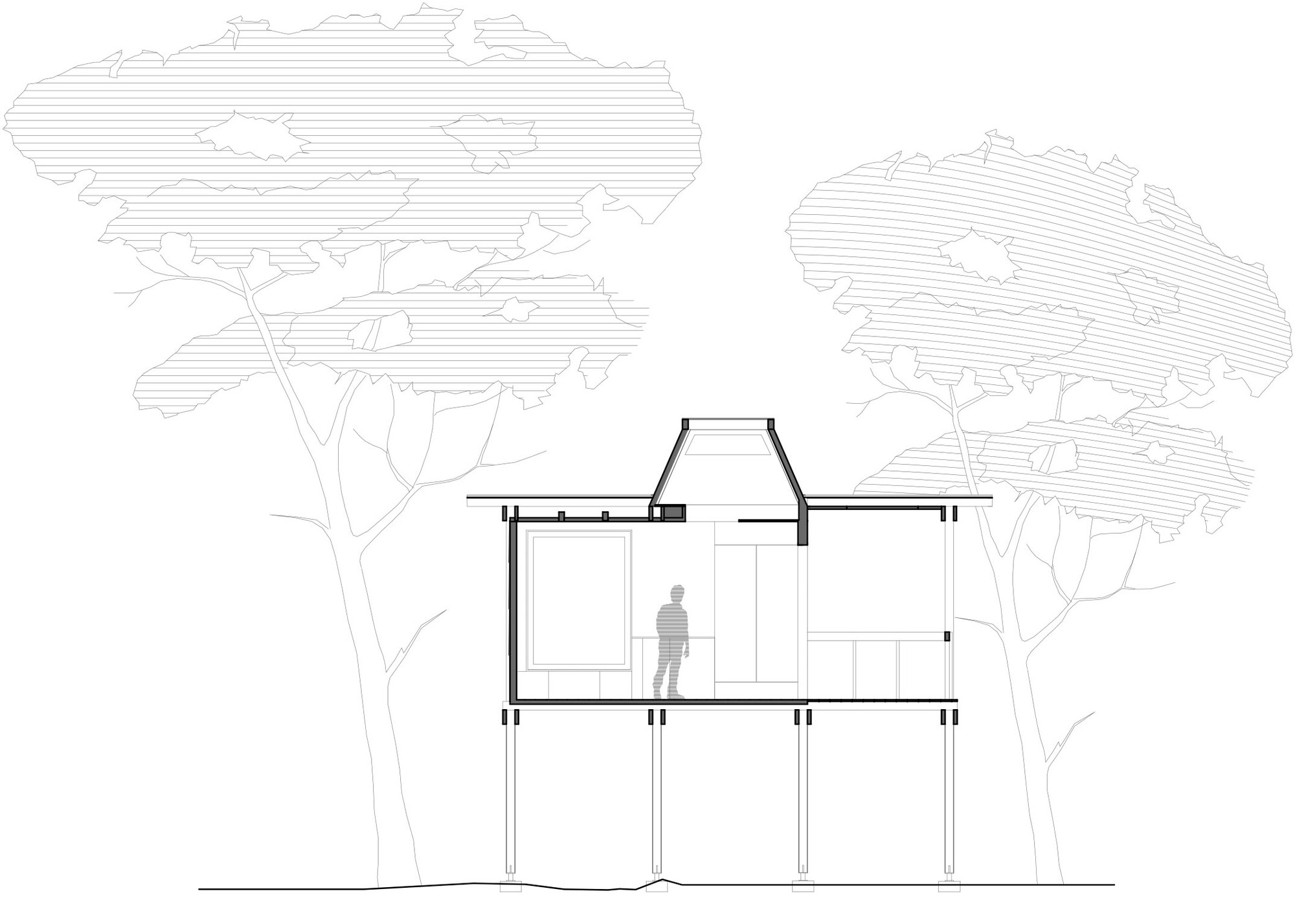 鸽子树屋丨葡萄牙丨Madeiguincho-19
