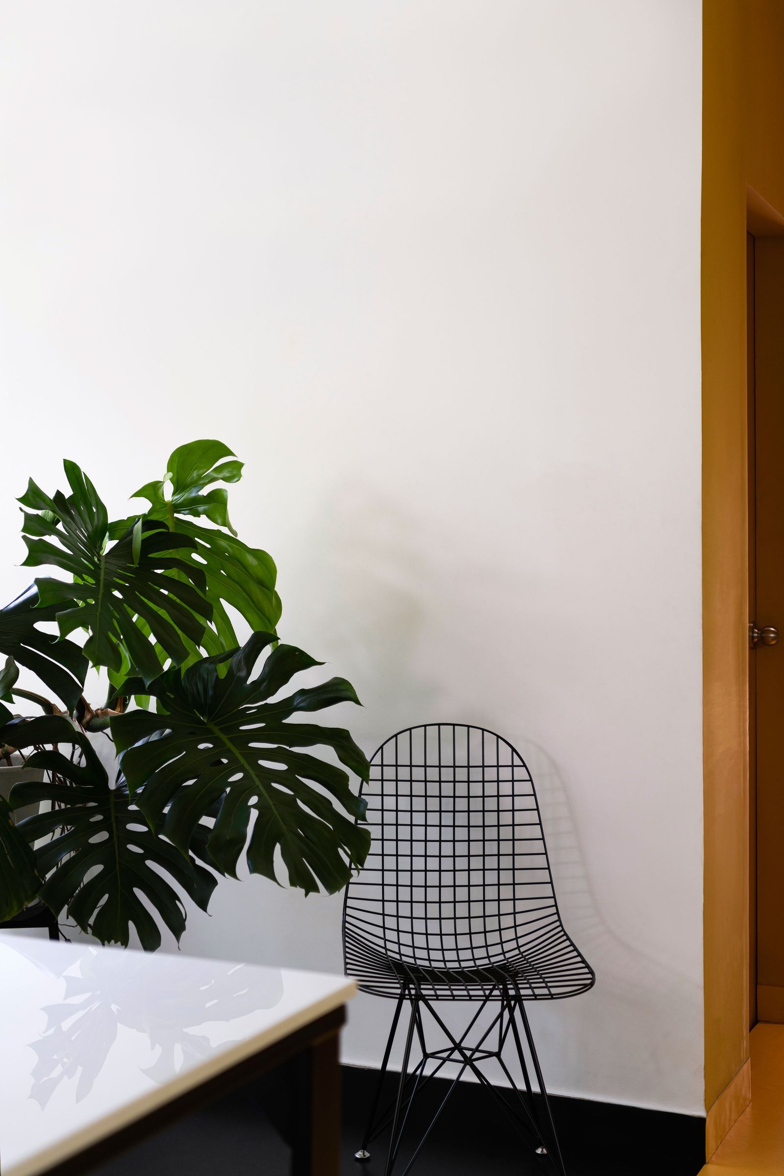 Kerala某建筑公司办公室设计丨印度-21