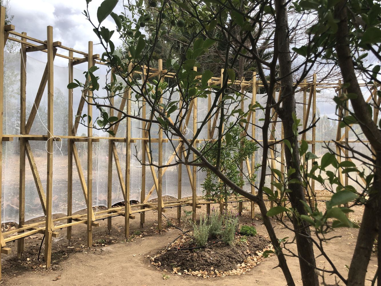 智利 El Otro Cielo 展馆-17