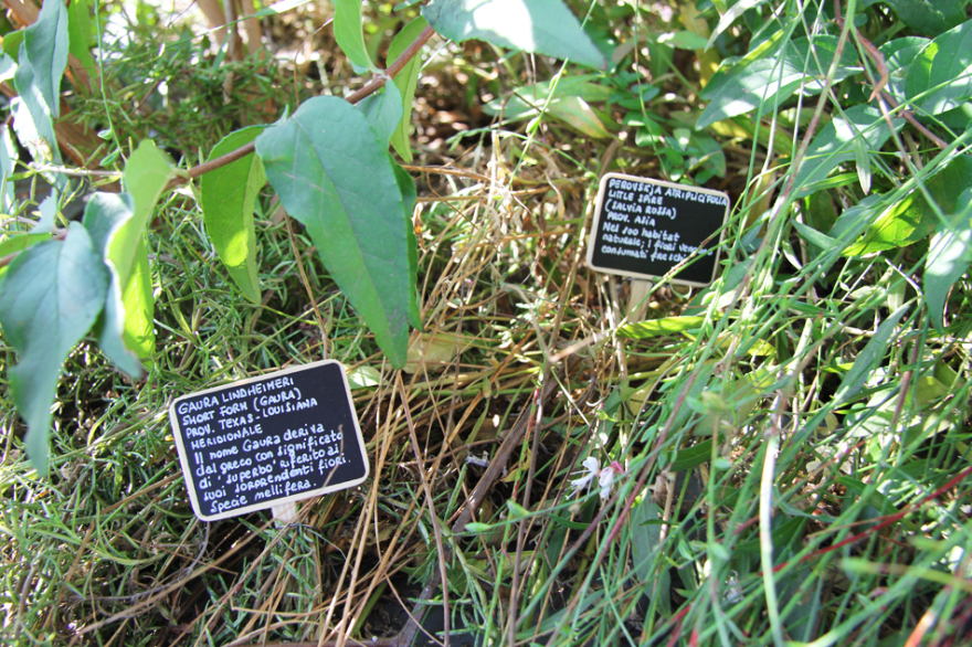 米兰垂直森林丨意大利米兰丨斯特凡诺·博埃里工作室-24