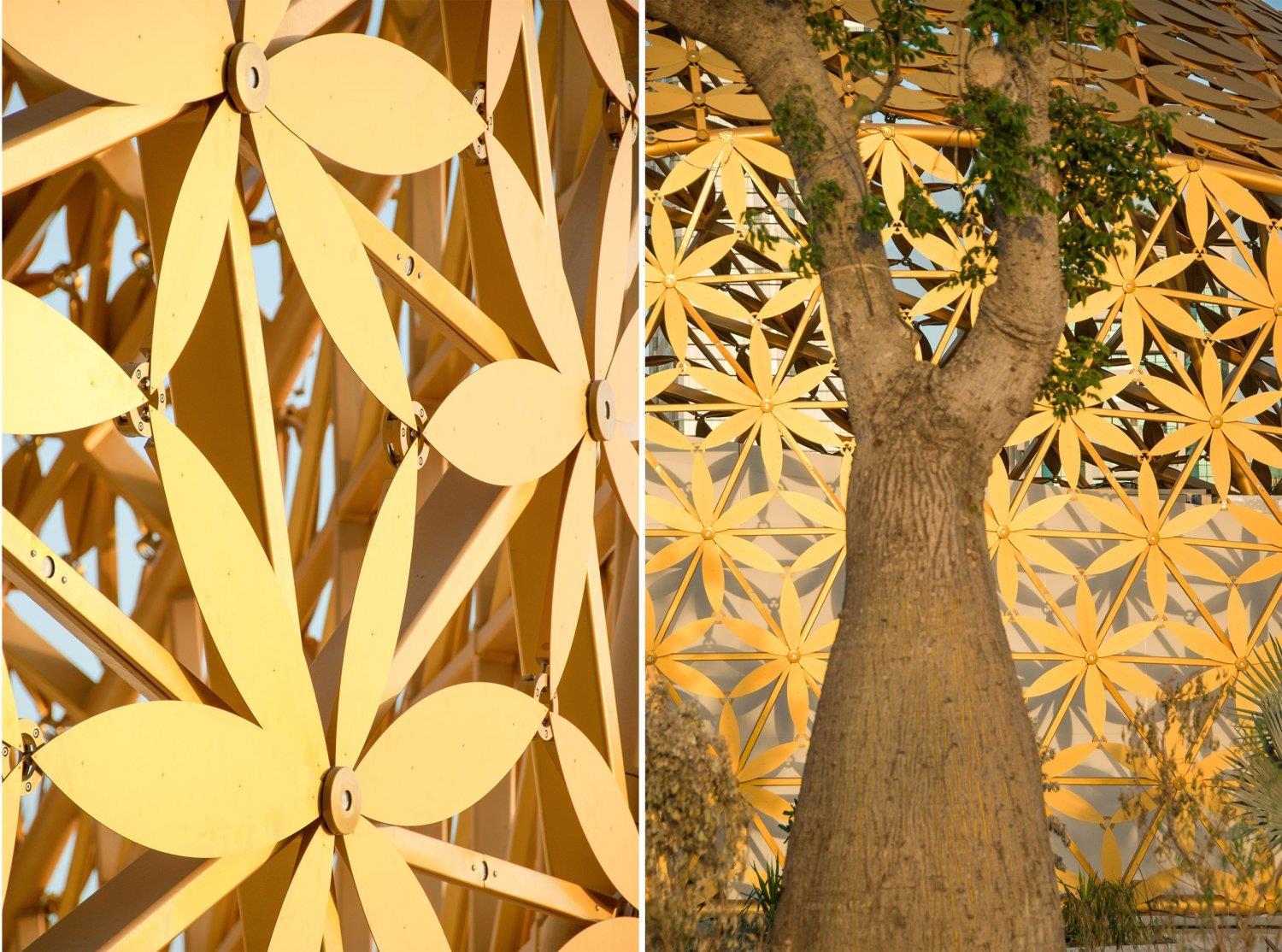 参数化设计蝴蝶展亭丨3deluxe-9