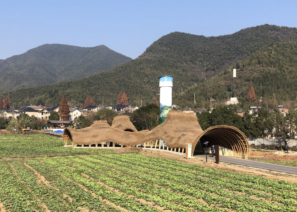 花海竹廊丨北京林业大学-15