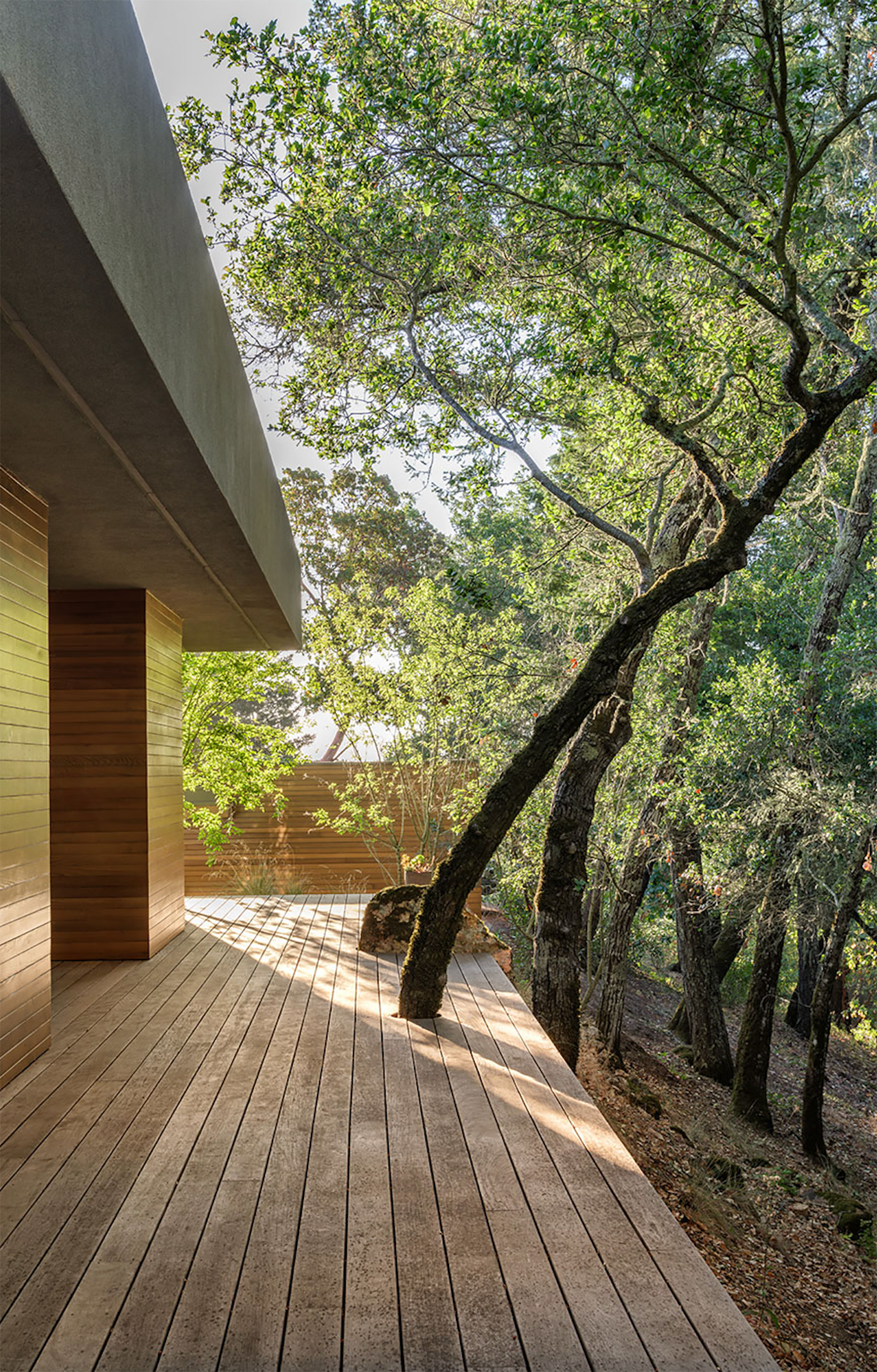 青苔石丨美国加利福尼亚丨Ground Studio 与 SwattMiers 合作-20