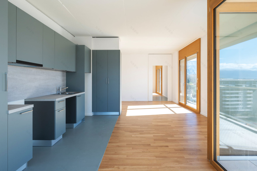 丨瑞士日内瓦-14