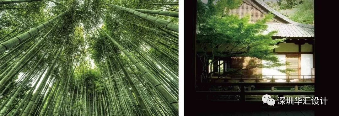 临安西望丨中国杭州-14