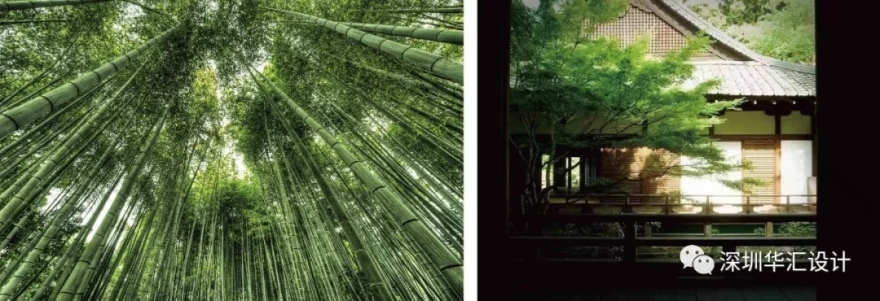 临安西望丨中国杭州-14