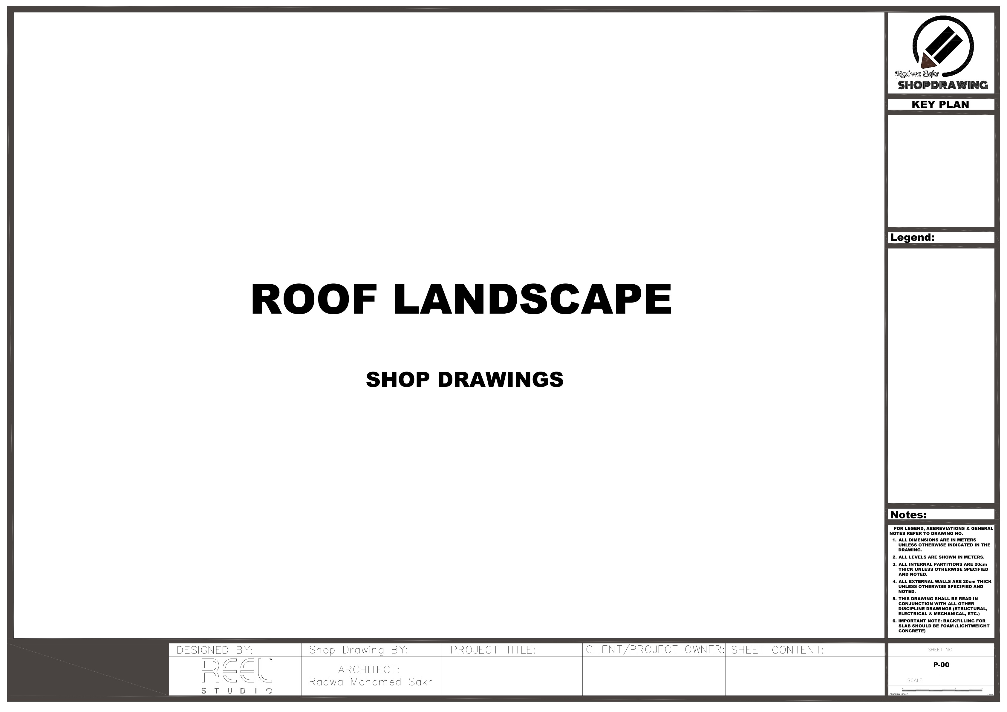 Shop Drawing For Roof Landscape-0