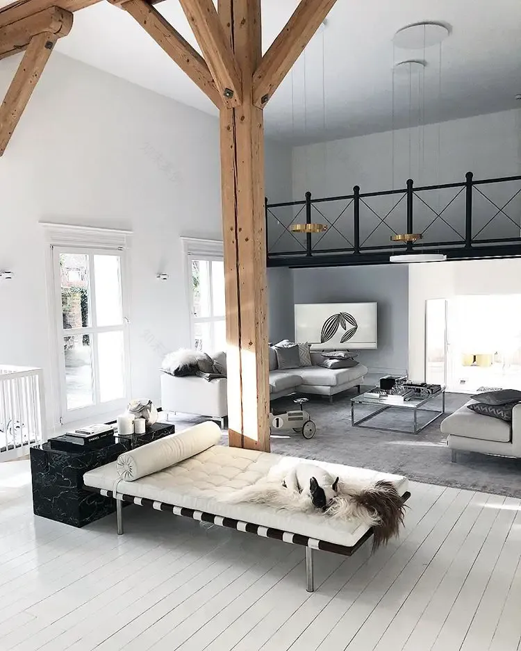 德国北欧风 Loft,空间与光的精致之作-7