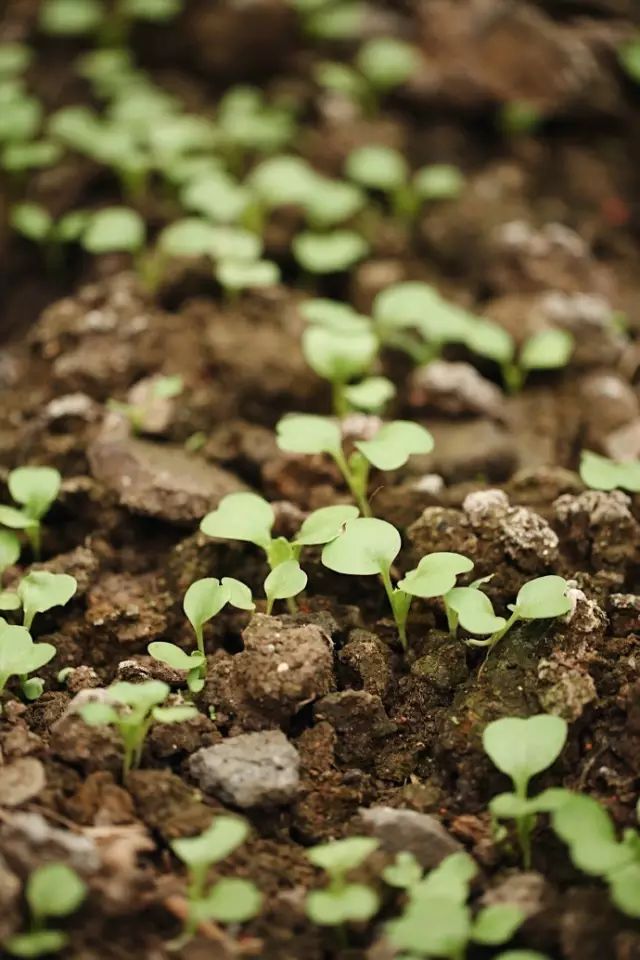 Color Case/90后帅小伙儿仅花3千爆改出租屋后-89