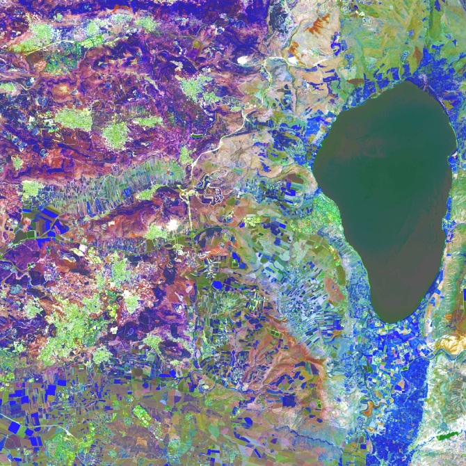 Blue Farmland可译为蓝色农田，但huaikuanchung不是一个常见的英文词汇或有公认含义的词语，不清楚其确切指的是什么，无法完成该部分的准确翻译 丨以色列-8