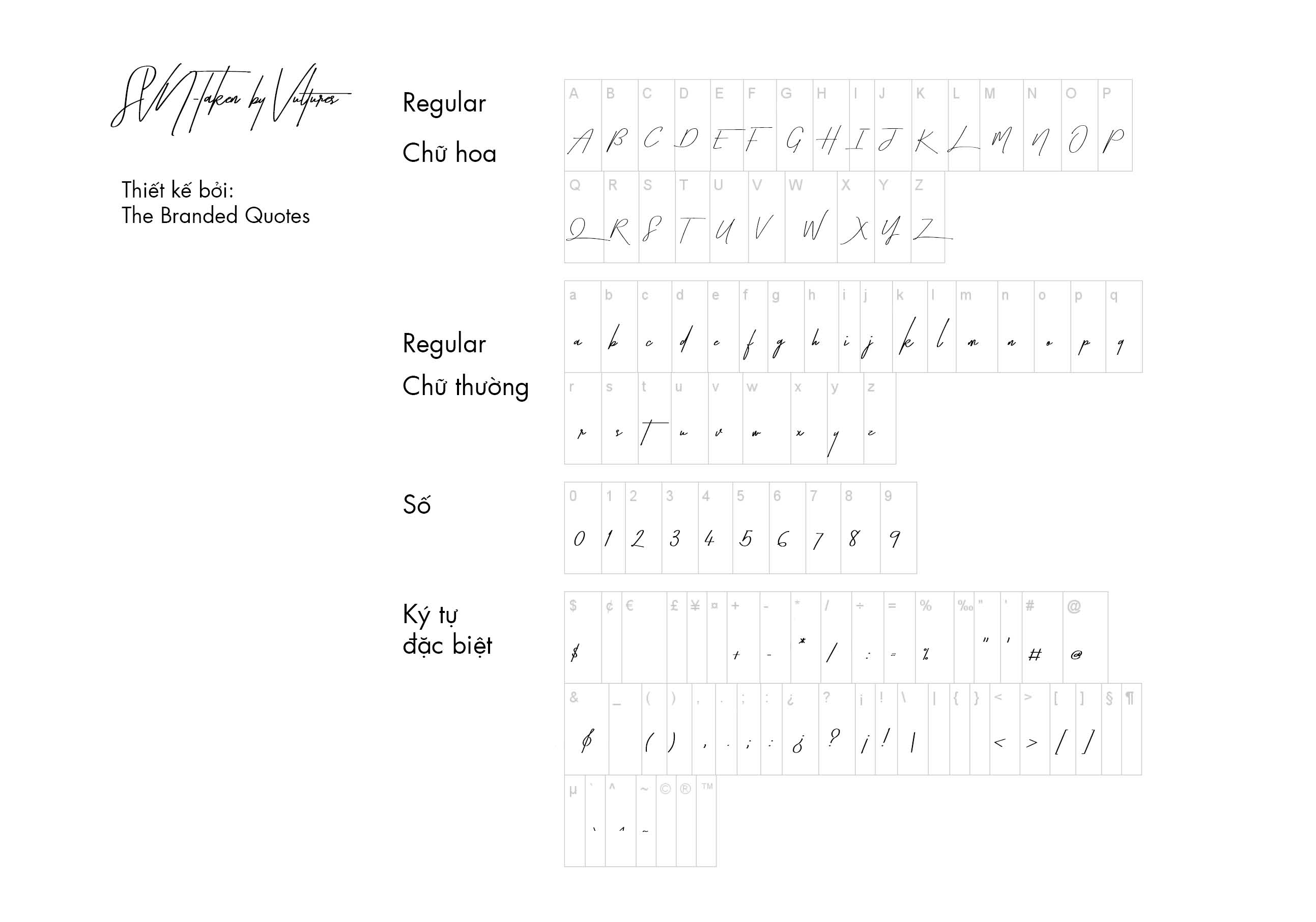 梅德斯时尚品牌塑造-21