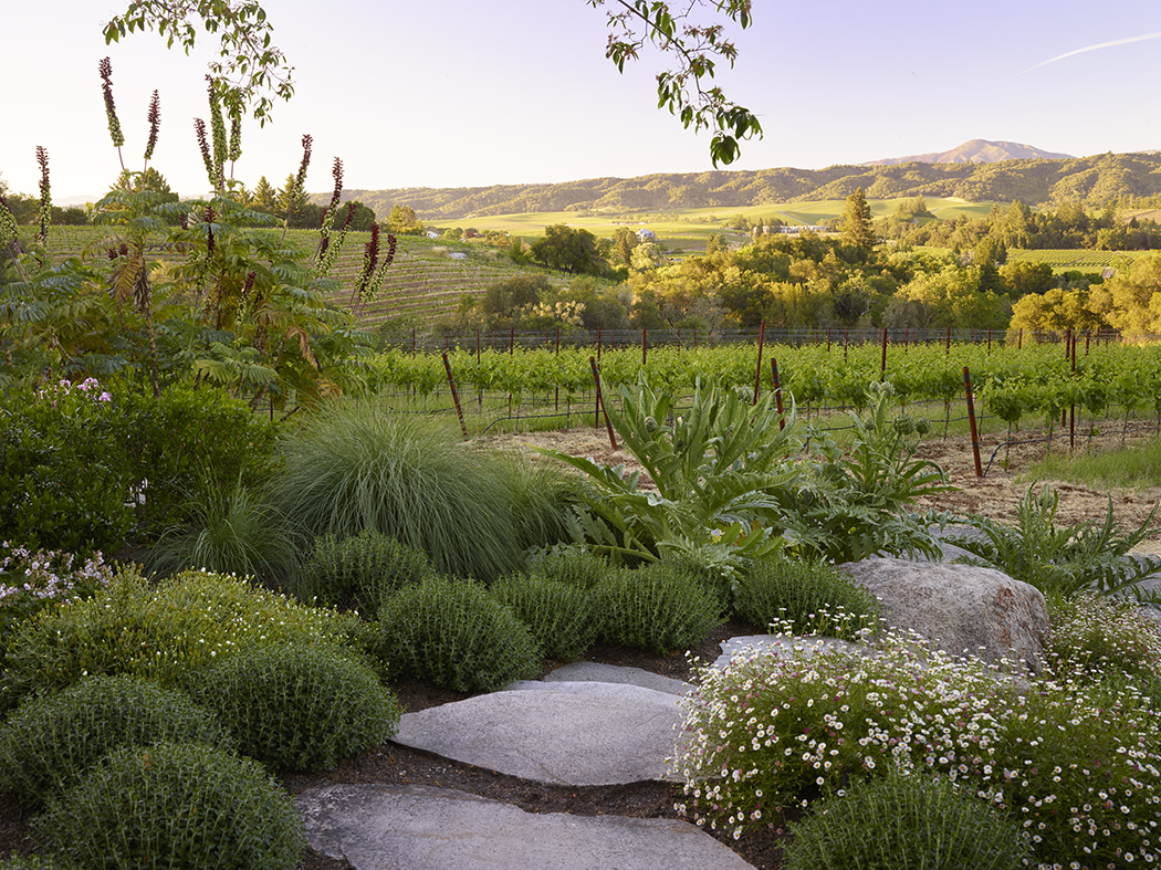 加州希尔兹堡,新旧交汇的野趣庄园 / Lucas & Lucas-15