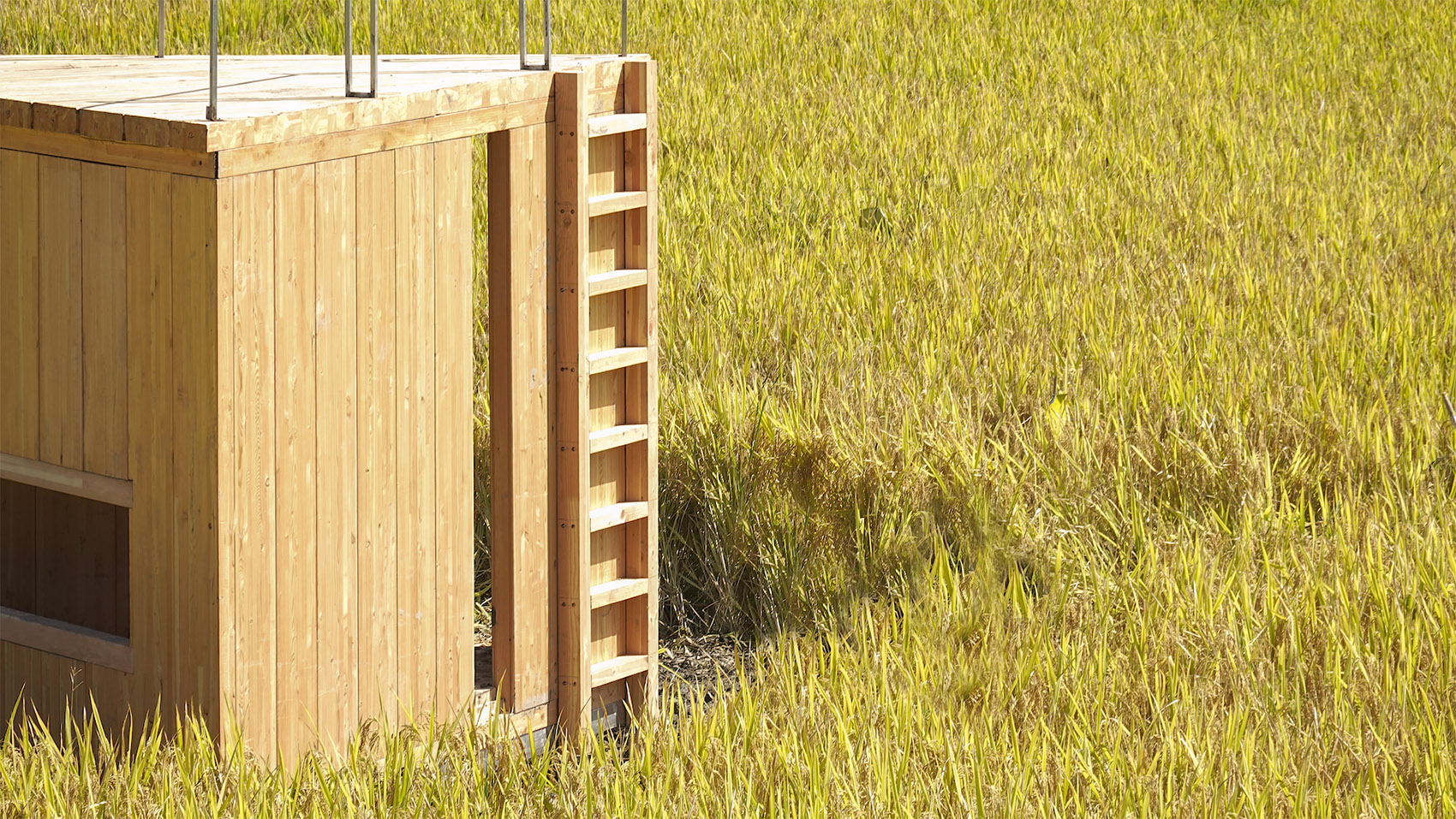 青石寨的稻亭和稻场,福建 / 个个世界+先进建筑实验室-48