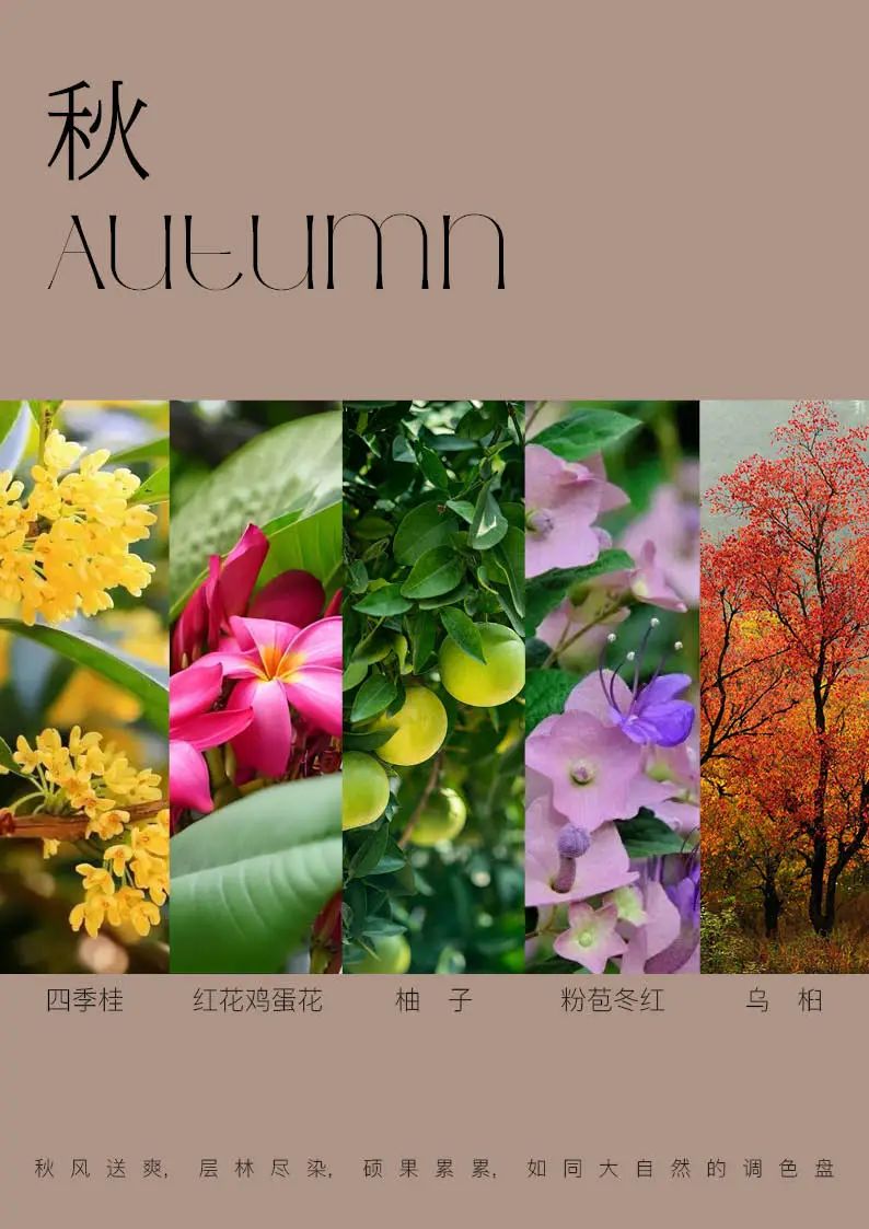 林间绿岛，人文雅居 | 深圳静安府-74