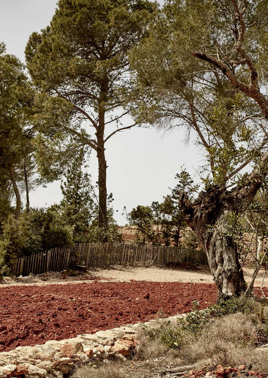 La Granja酒店，西班牙 / Dreimeta design studio -16