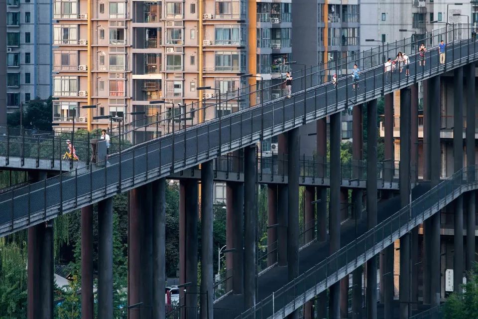 城市绿道漫步 | 一步跨入森林之中-66