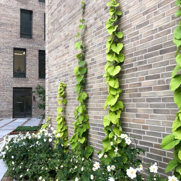 丨瑞典丨Tengbom-43