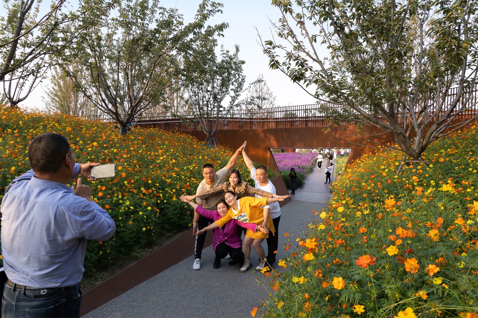 第十四届中国(合肥)国际园林博览会项目百花园设计丨中国合肥丨北京多义景观规划设计事务所,北京林业大学园林学院-47