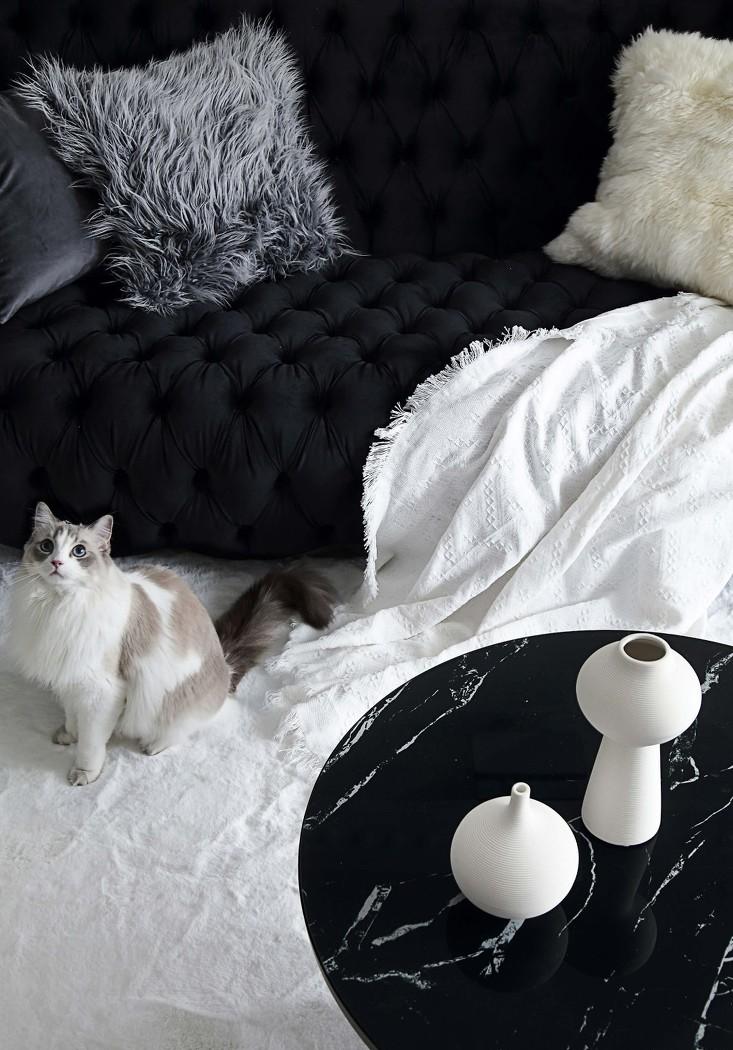 梦境光影中的艾瑞卡生活-16