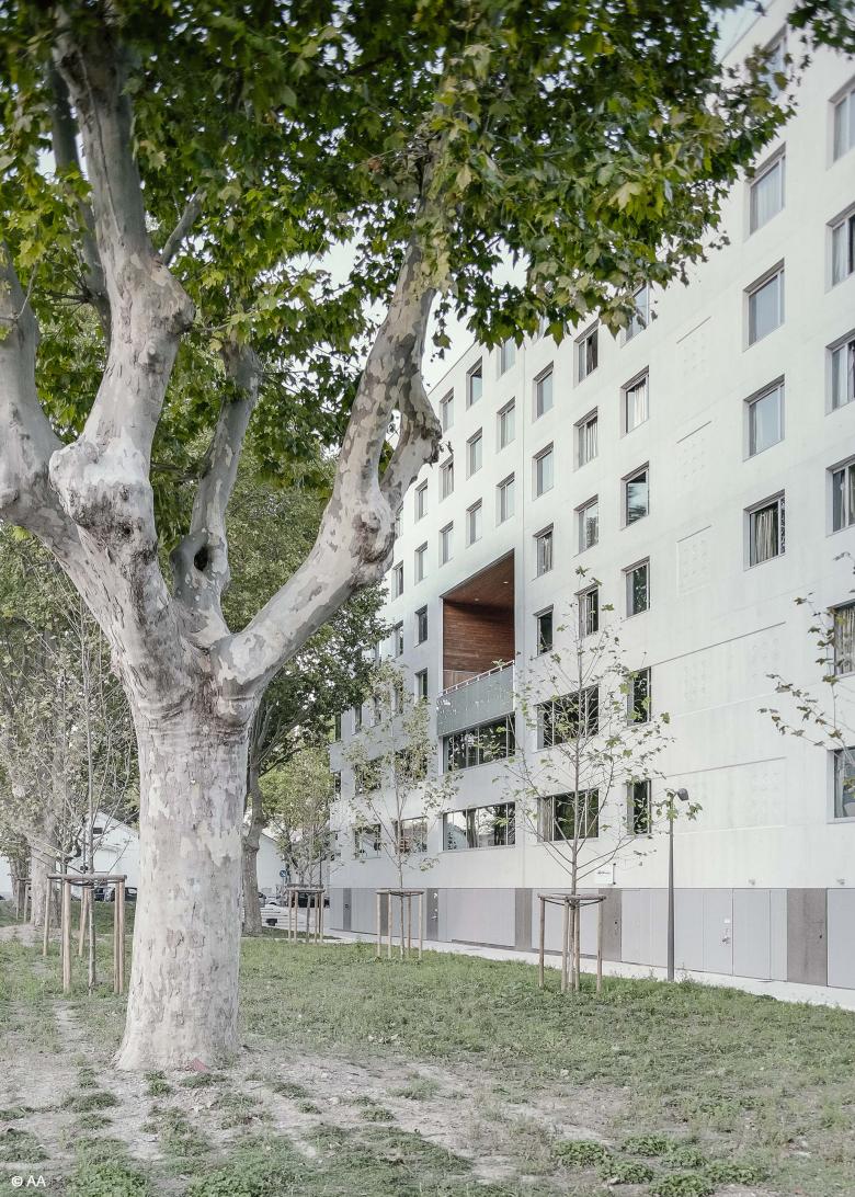 ESMA 艺术学校及学生宿舍丨法国蒙彼利埃丨Mateo Arquitectura-11