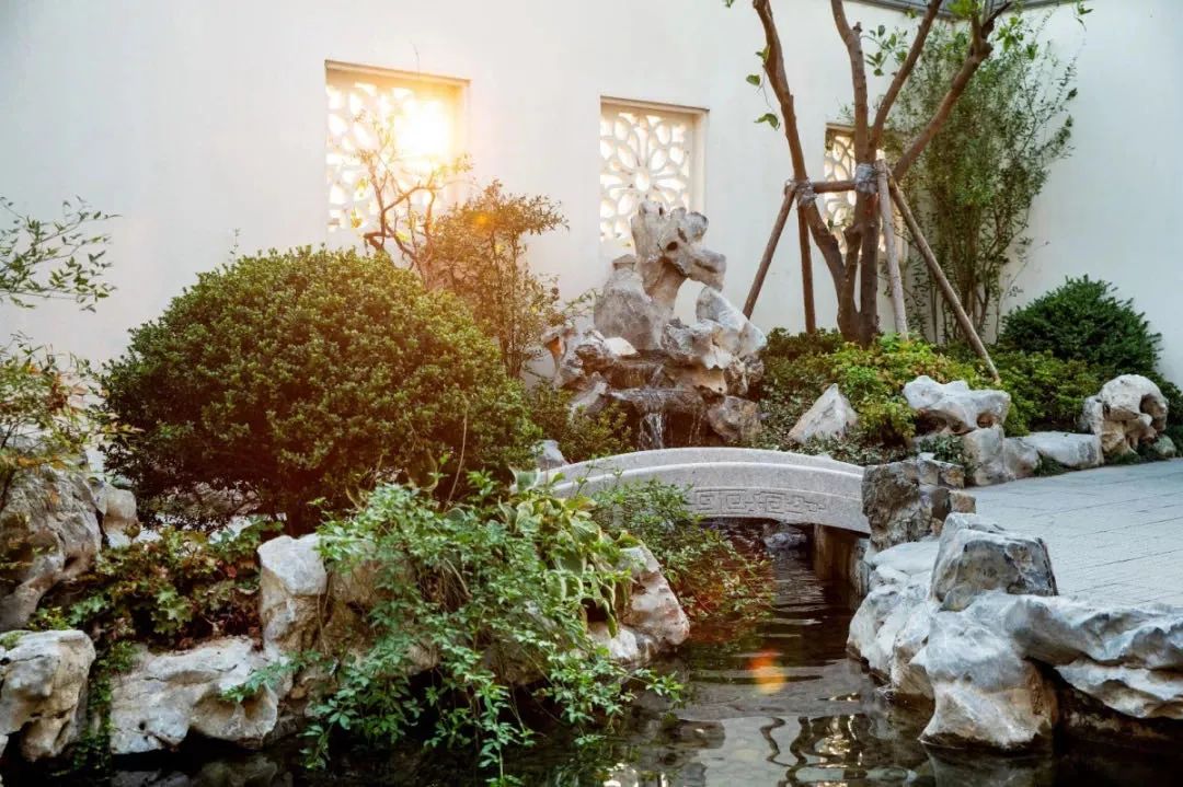 义乌·桃李春风-20