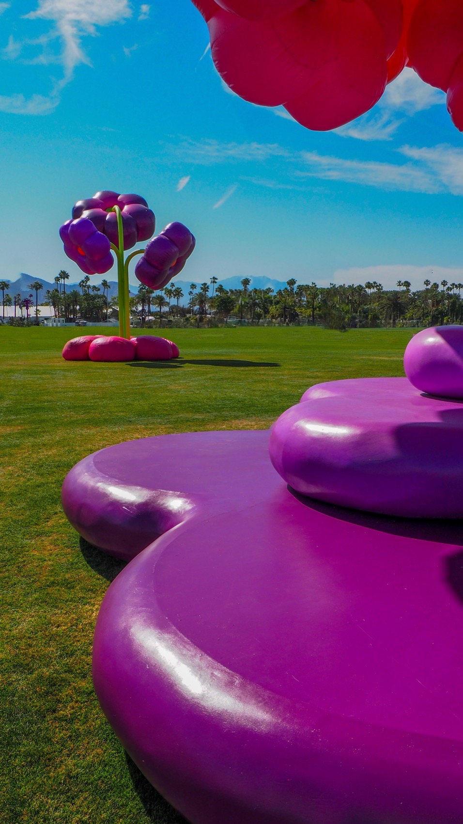 2025年科切拉艺术计划丨Public Art Company（PAC）等多位艺术家-42