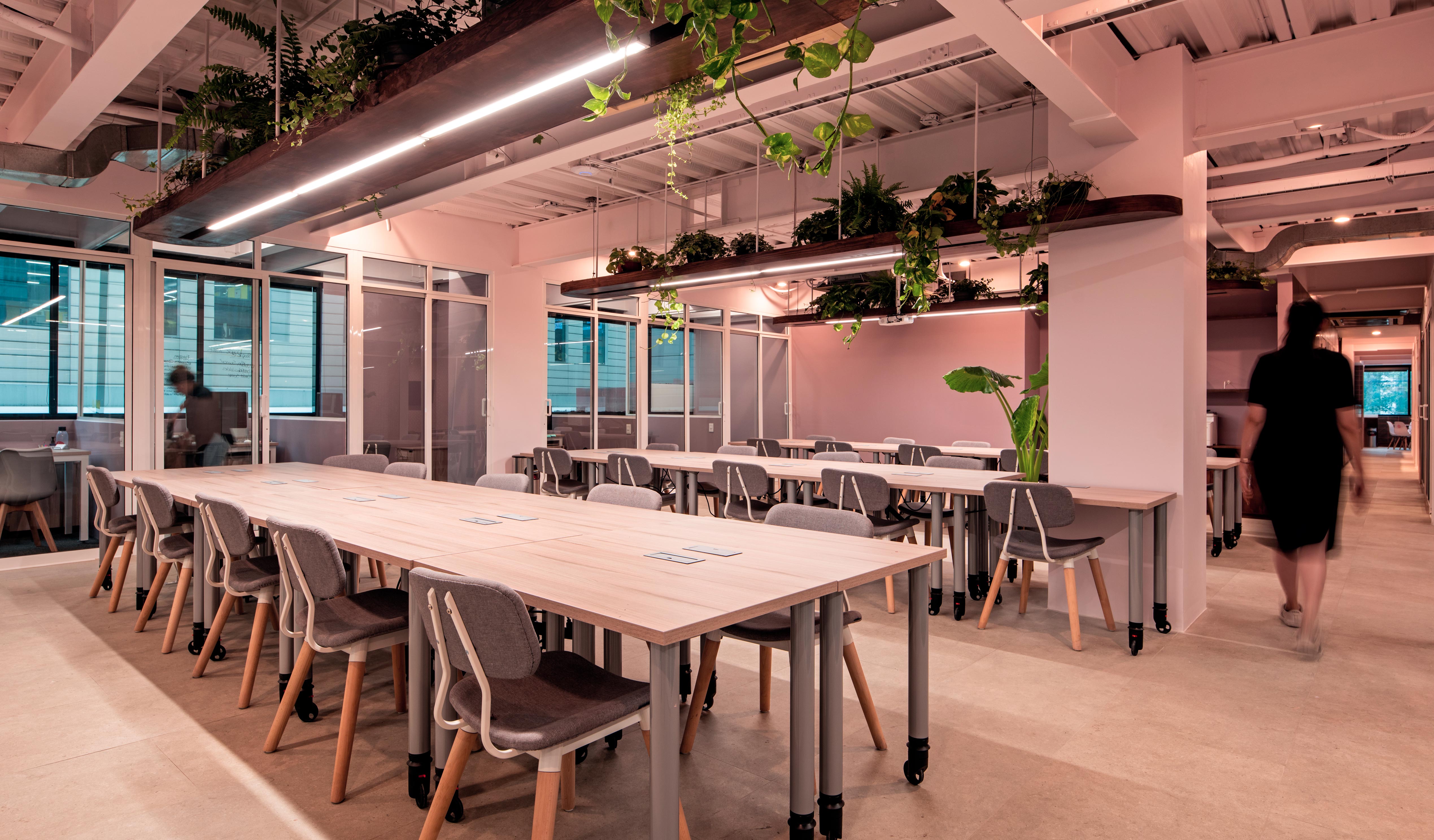 科玛德雷——右手室内装饰公司（这里假设Diestra Interiorismo是一个室内装饰相关公司名称，Diestra本意为右手的 ，Interiorismo意为室内装饰；Co Madre暂音译 ，因为缺乏相关行业专业对应信息，如果有更具体语境，翻译可能更精准） -15