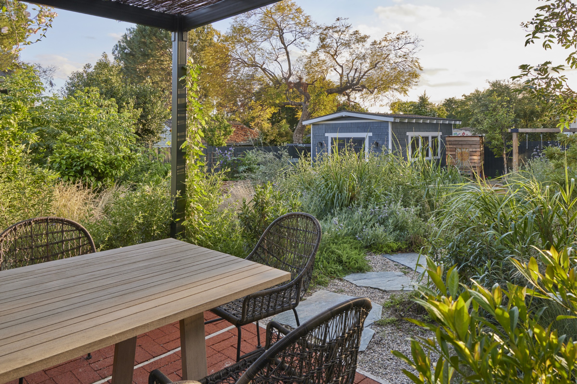 用时间酝酿，为孩子们创造的野趣花园丨美国丨TERREMOTO-19