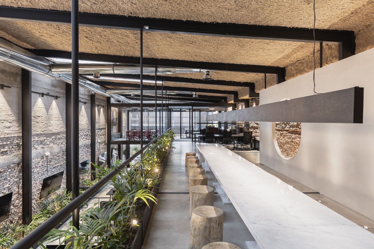 Wild Fi Offices | 绿色生态办公空间的典范-9