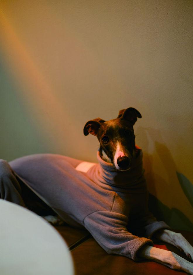 鸟山咖啡 · 自然与现代的完美融合-28