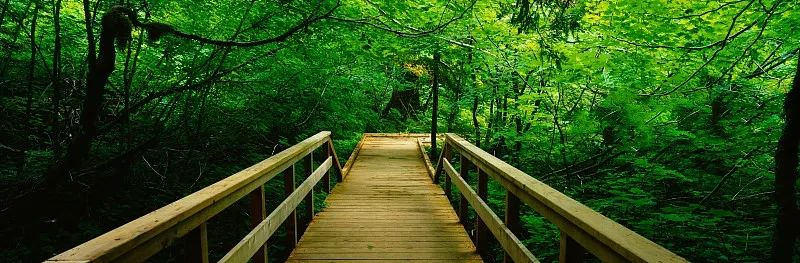 浮生灿烂又如何，只羡做个“逍遥仙”——「了忘谷民宿Ⅱ」-228