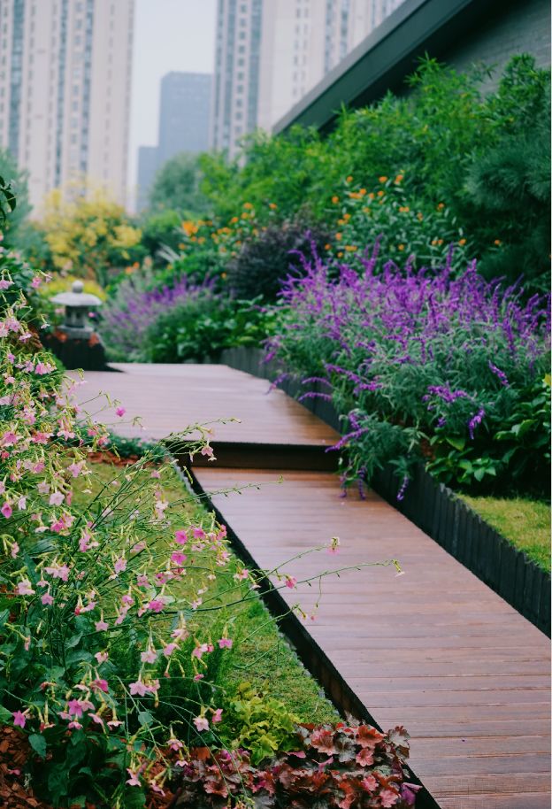 空中花园的粉紫色浪漫 | 乐梵造园的秋韵花境改造-14