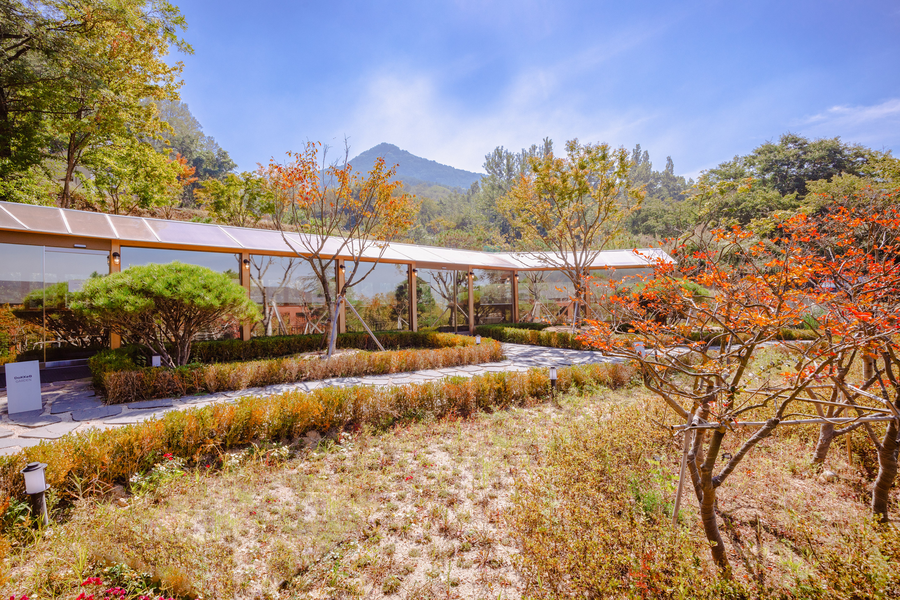 大邱琵瑟山多克比克咖啡总店-55