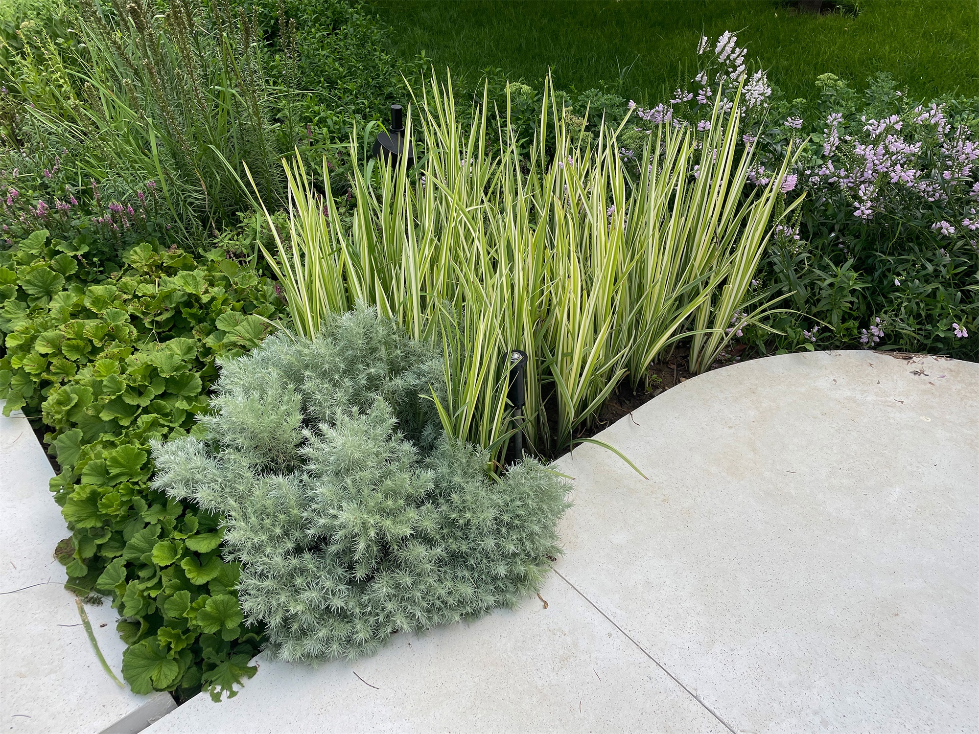 北京市三里屯西五街5号院花园丨中国北京丨OneScape一域景观事务所-212