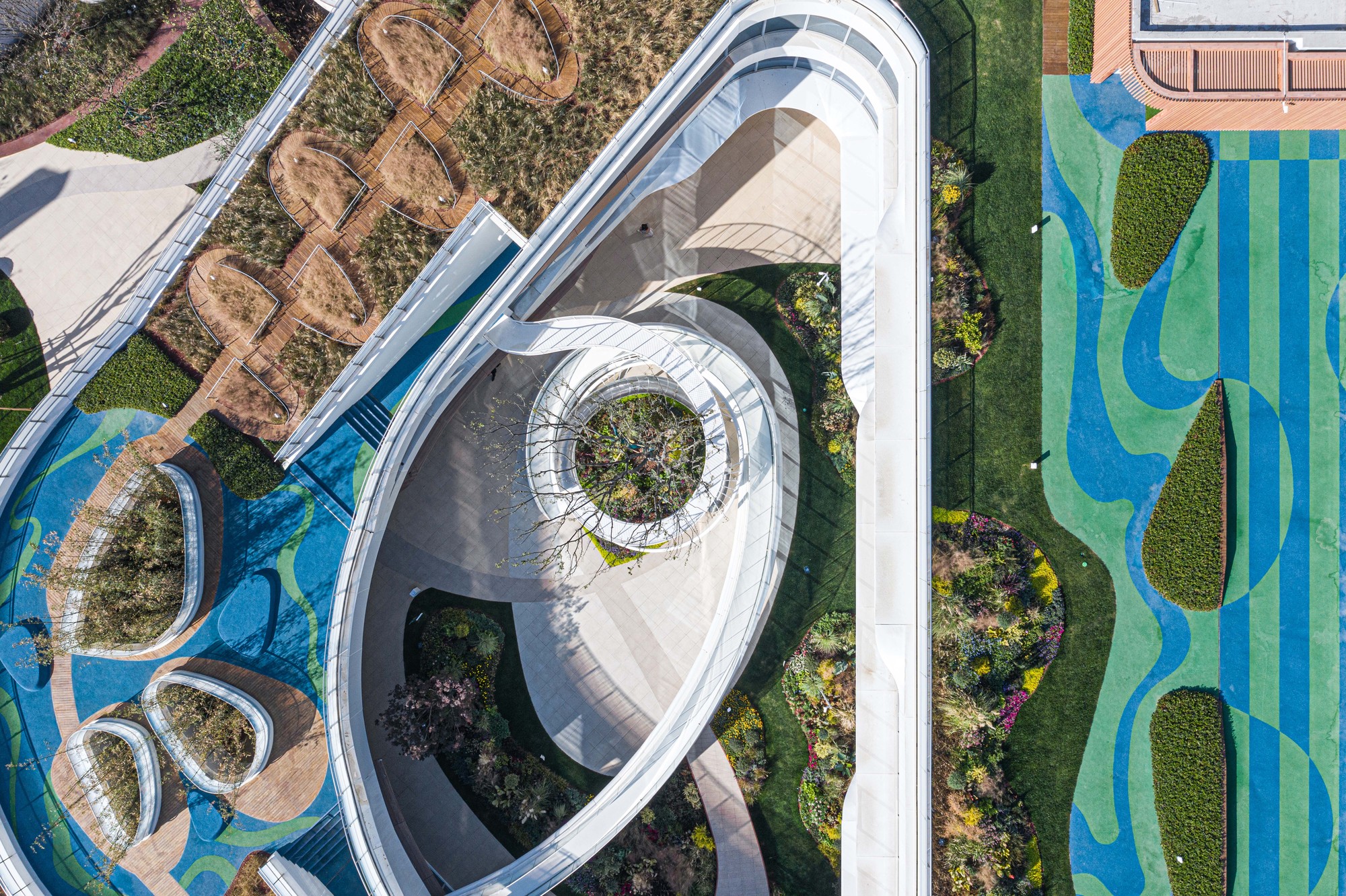 CIFI Donut Kindergart / THDL-31