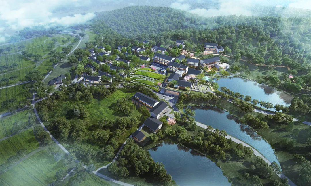 暮色分星野-星野蓬境精品民宿-15