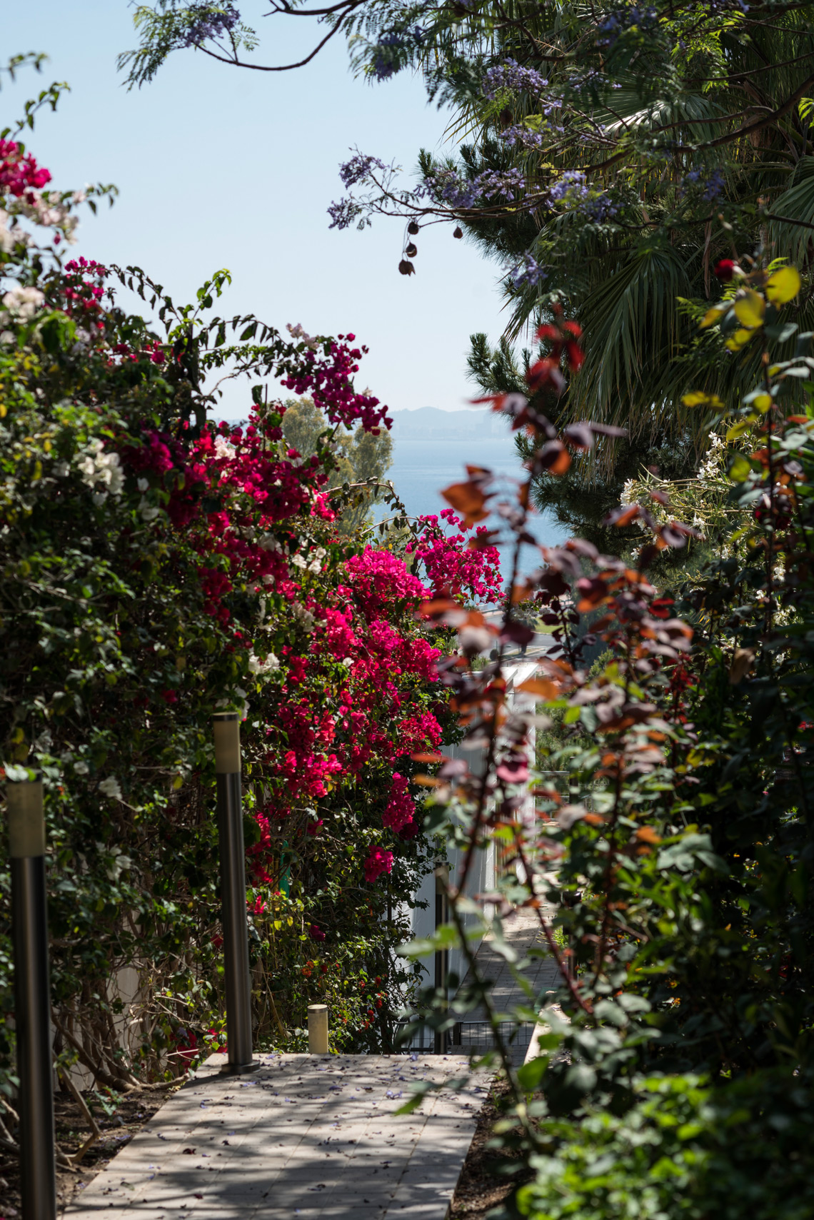 丨MO2 Arquitectura + Diseño-35